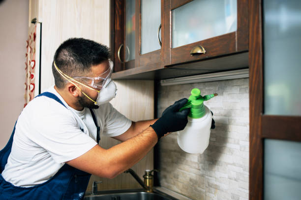 Best Flea Control Services  in Elko New Market, MN
