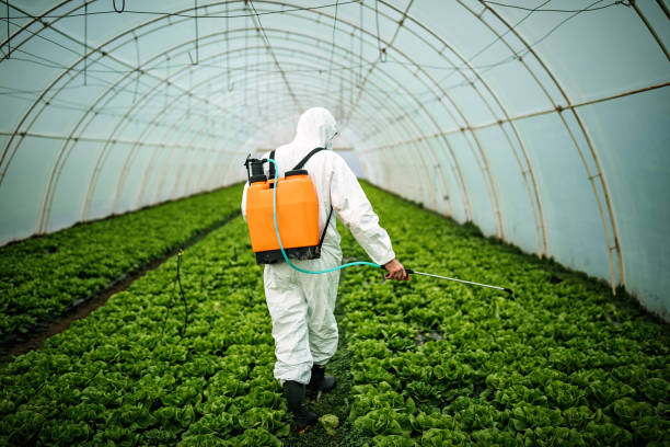 Elko New Market, MN Pest Control Company