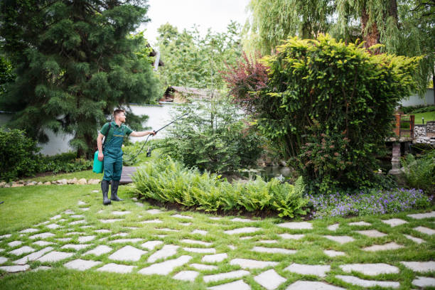 Best Residential Pest Control  in Elko New Market, MN