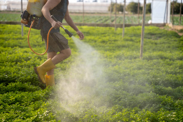 Best Commercial Pest Control Services  in Elko New Market, MN